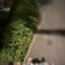 동작 사당로47길 이미지