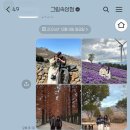 [진주 평거동 카페] 다양한 굿즈로 가득한, 그림 속 상점 카페 (feat. 또간집)
