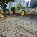 원봉초등학교병설유치원 이미지