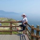 바람의언덕 이미지