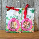 참플러스 덴탈 이미지