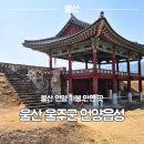 초록마을 울산언양점 | 울산 언양읍성 남문 영화루 후기, 주말 가볼만한곳 코스까지 정리