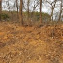 부발목장 이미지