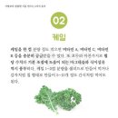 달콤한기분