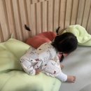 용인문화유적전시관 | 경산 아이동반 실내 체험 추천, 임당유적전시관 방문 후기