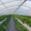 미하농장 이미지