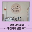 GS25 용이타운점 | 평택 애견 카페 멍토피아 방문 후기