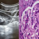 조병수의원 이미지