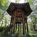 초록산 산림욕장 1 이미지