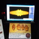 영월동굴생태관 이미지