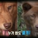 송민호 농장 이미지