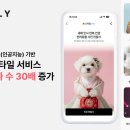 우리강아지 매일경제