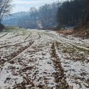 전원부동산중개인사무소 이미지