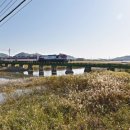 태백산맥거리 이미지