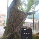 안기 마을회관 이미지