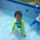 아쿠아데이 이미지