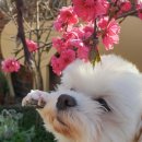 선운민박 이미지