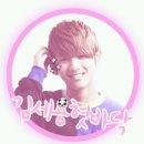 미마걸 이미지