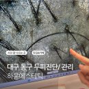대구효목초등학교 | 대구두피관리 효과 좋은 효목동 하움에스테틱 후기｜두피진단부터 탈모관리까지
