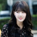 주점오늘부터우리는 Daum카페