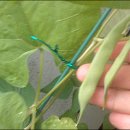 김재복농장 오마이뉴스
