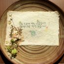 자라나는새싹