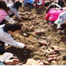 농심농장 이미지