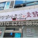 회세상오징어나라