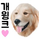 하비멍루프탑