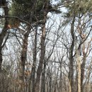 중리(대현3리) 이미지