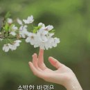 잠자는공주 - 정삿갓 이미지