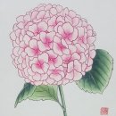 민화화실꽃담