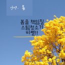 봄의 불청객을 책임져줄 비쎌 스팀청소기!