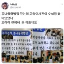 고양이를 너무 자랑하고 싶었던 콩나물 국밥집 사장님 이미지