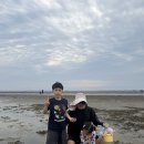 갯벌 체험 이미지