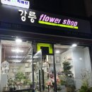 강릉꽃직매장
