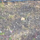 푸른식물병원 이미지