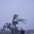 조은사람들산우회(1월 18일 셋째주 토요일) 정기 산행(태백산 눈꽃 산행) 이미지