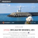 다녀올개 이미지