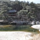 유성온천역(7번 출구) 버스정류장 이미지