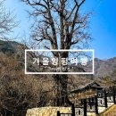 용문상회 | 준이파파의 겨울 여행지 추천 3. 경기 양평 👉🏻 두물머리, 용문사, 카페투어, 산음휴양림, 쉬자파크
