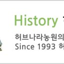 허브나라 자작나무집 이미지