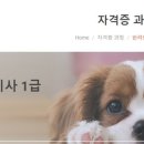[1급과정] 반려동물관리사 1급 이미지