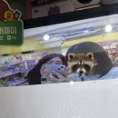 팬시덕쿠