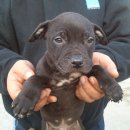 김철2농장 이미지