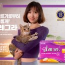 알레그라 이미지