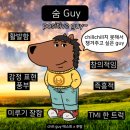 네일53(Nail 53) 이미지