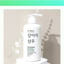 향기품은강아지