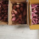 맛샘농장 이미지