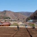 태기산치유마을 이미지